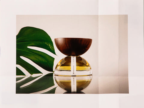 Monstera Xinū (no. 4)