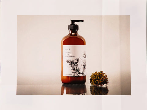 FlordeMusgo (Body Lotion)