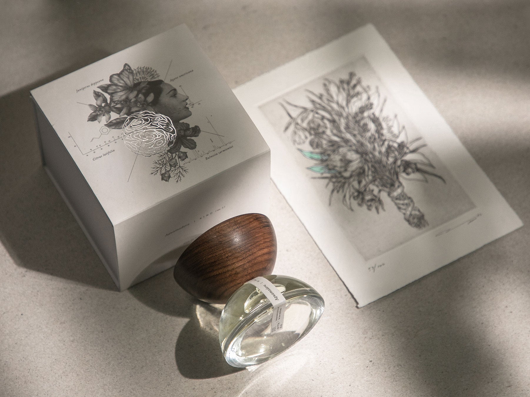 Aguamadera no 1 Bundle X I N Perfumes aguamadera-no-1-bundle-x-i-n-perfumes